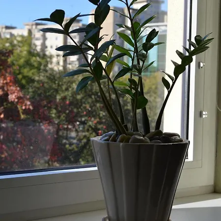 Szálloda Hermis Hotel