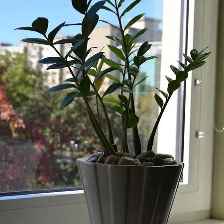 Szálloda Hermis Hotel